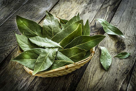 Fresh organic bay leaves on rustic wooden table
