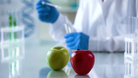 Fruits lying on lab table, scientist checking food quality, nutritional studies