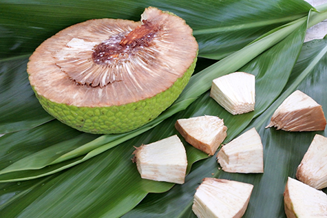 Breadfruit slices in Rarotonga Cook Islands
