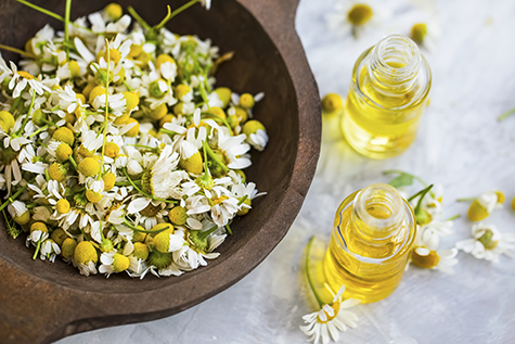 Chamomile oil , chamomile essential oil bottles with chamomile flowers