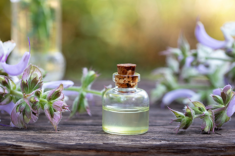A bottle of clary sage essential oil with blooming clary sage plant