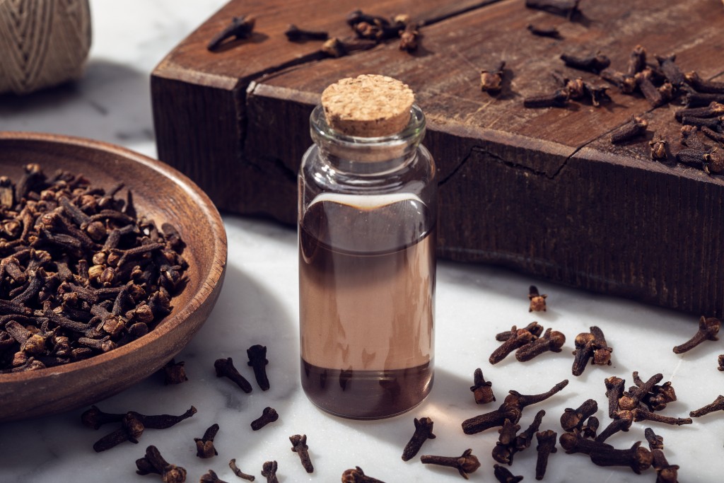 Clove essential oil isolated