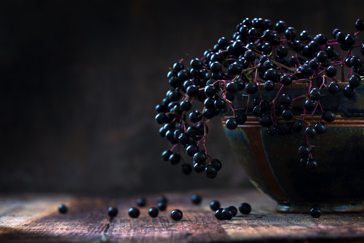 Black elderberries (Sambucus nigra) in a bowl, dark rustic wood