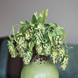 Cones of green hops. Artificial silk flowers in interior