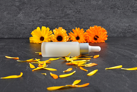 Natural cosmetics, common marigold and petals on shale