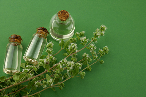 marjoram essential oil.marjoram oil set in glass bottles and flowering marjoram branches on a bright green background