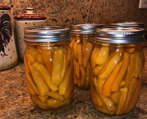 Pickled Persimmons FoodTrients -horizontal