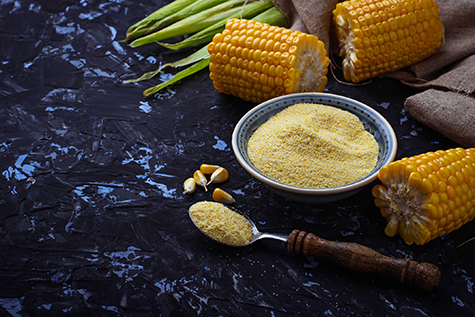 Corn grits and corncob on concrete background
