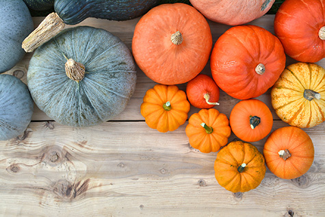 Various colors of pumpkins and squashes
