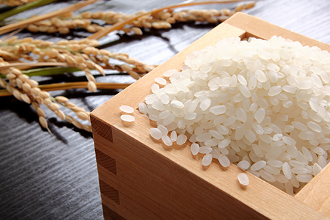 Rice and Oryza sativa,Japonica
