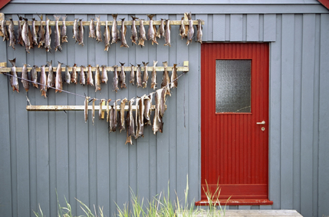 Fish drying on a house, Grip Island, Norway
