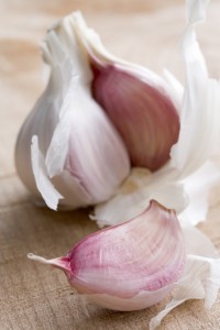 Clove and Bulb of Garlic