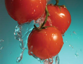 TS-87152195 Skin-tomatoes1