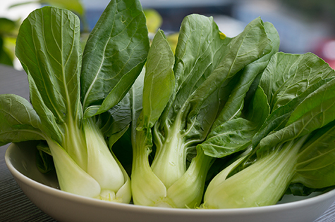 Bok Choy on a white plate