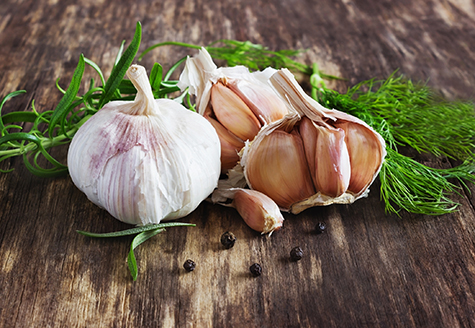 head of garlic and herbs