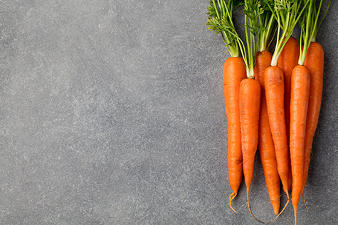 Fresh carrots bunch on a grey stone background Copy space