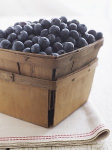 Fresh organic Maine blueberries
