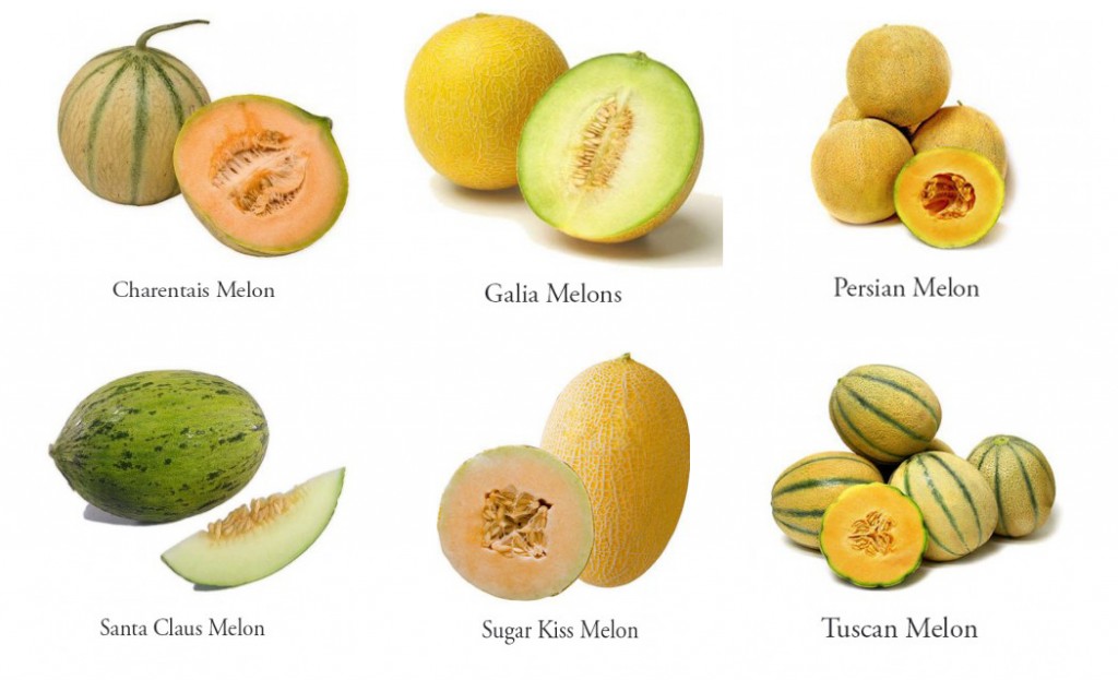 Easy Tips for Picking the Best Hami Melon 2024 - AtOnce
