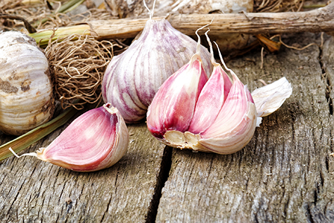 Whole garlic with broken bulb and pink cloves on rustic wooden board.