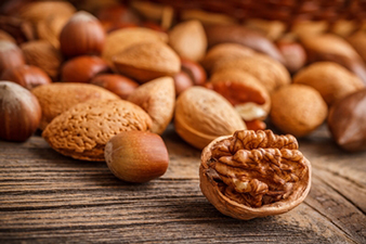 nut seeds