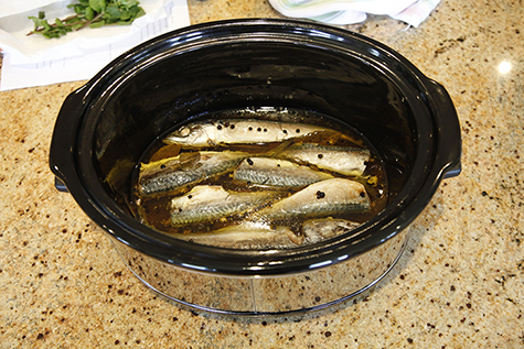 sardines in crock pot